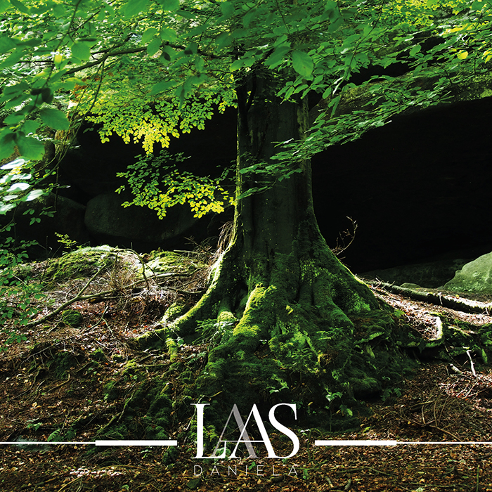 Fotografin und Schriftstellerin Daniela Laas | Naturfotografie: Sächsische Schweiz